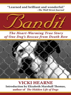 cover image of Bandit: the Heart-Warming True Story of One Dog's Rescue from Death Row